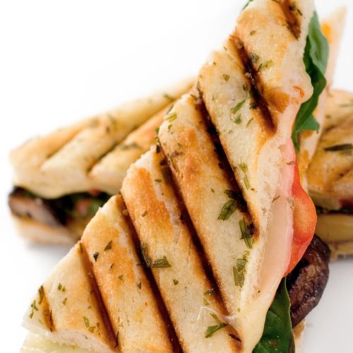 Veggie panini 500 x 500px