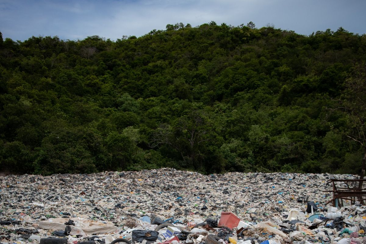 How does pollution affect biodiversity? 1200x800px