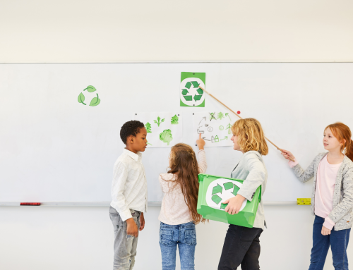 ¿Cómo educar sobre el medioambiente en escuelas?